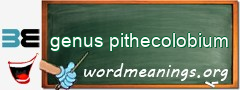 WordMeaning blackboard for genus pithecolobium